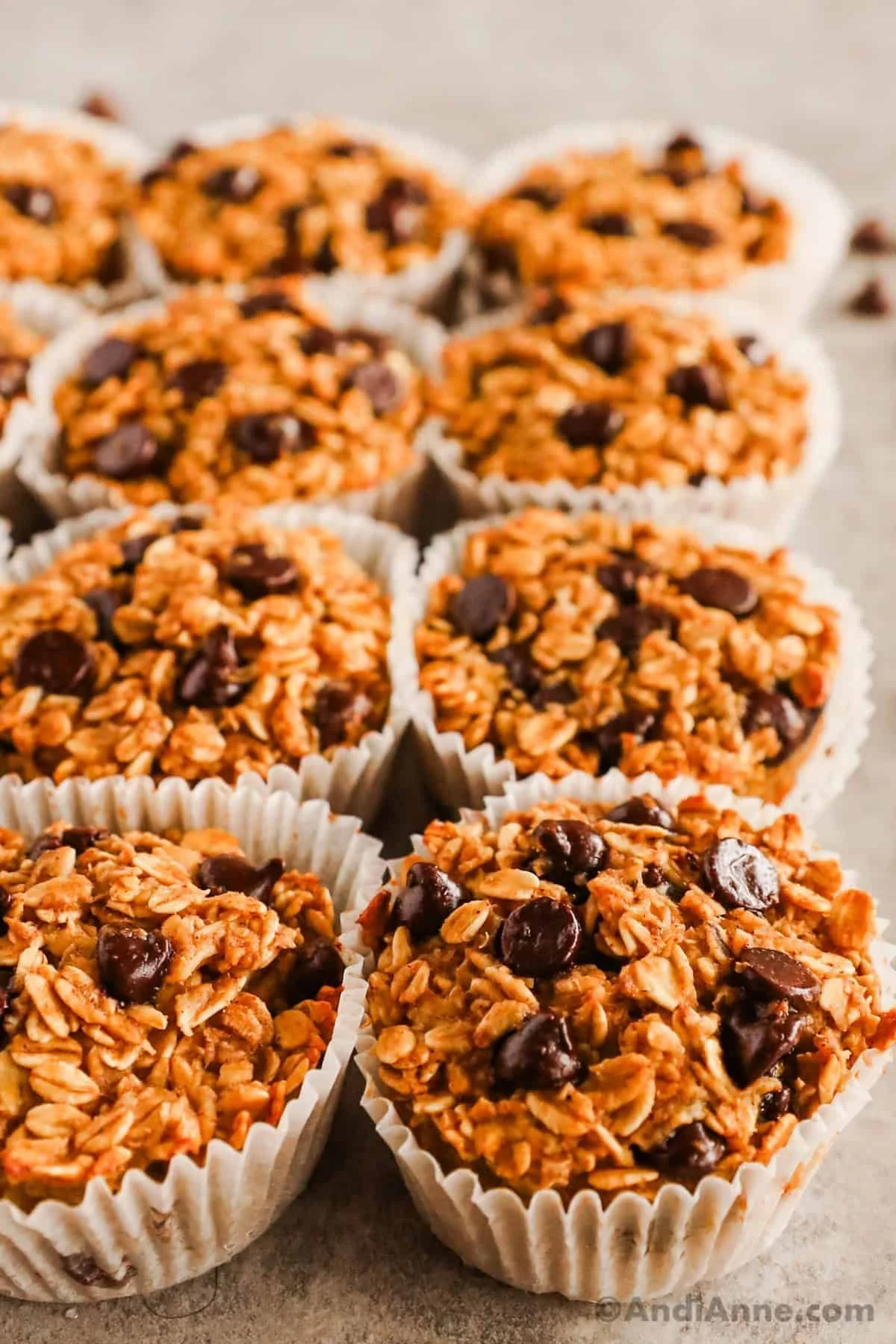 Chocolate Chip Oat Muffins